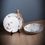 5 flat plates Iron Earth