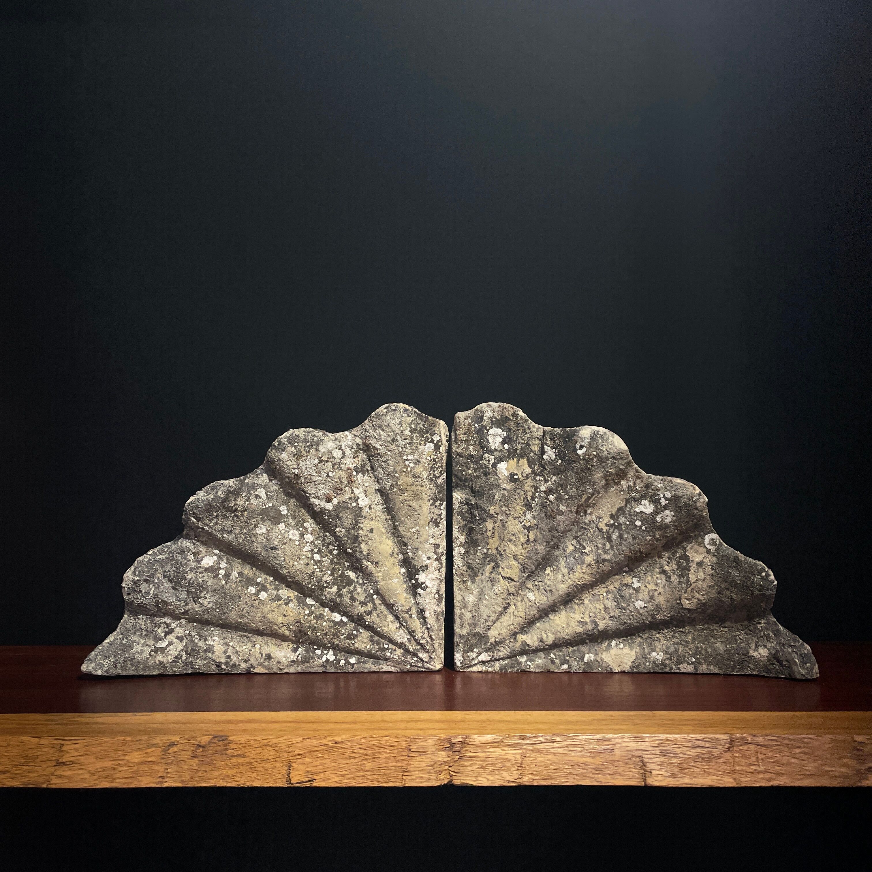 Sculpture of Tridacna, holy font