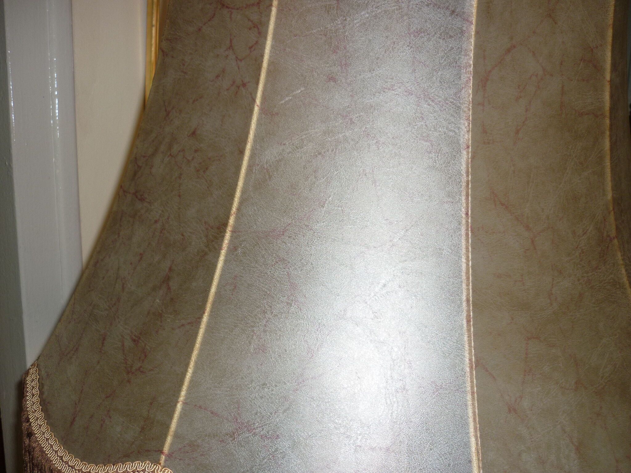 Great skin model day blinds