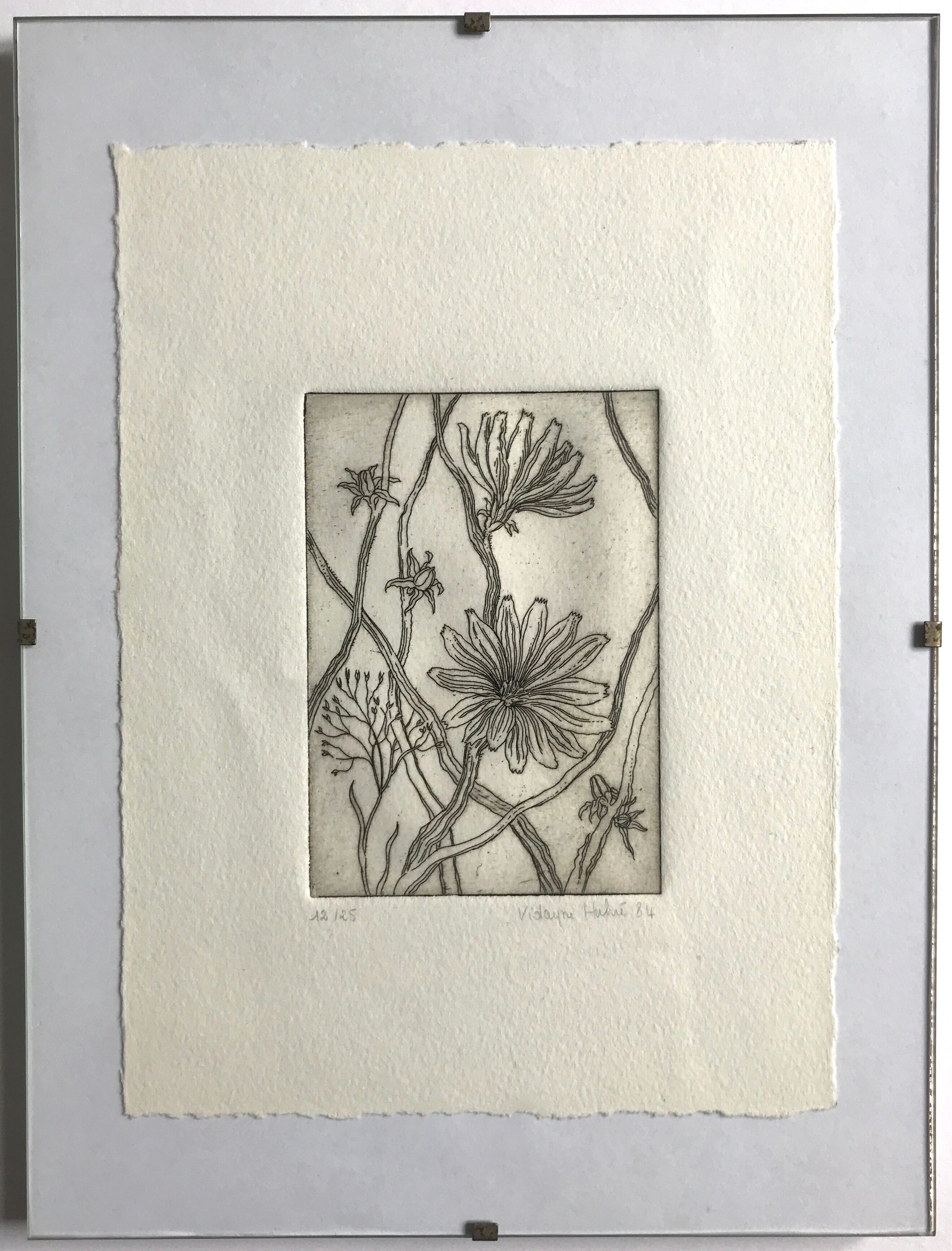 Etching signed by violayne hulné, study of clematis, 1984