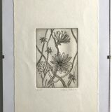Etching signed by violayne hulné, study of clematis, 1984