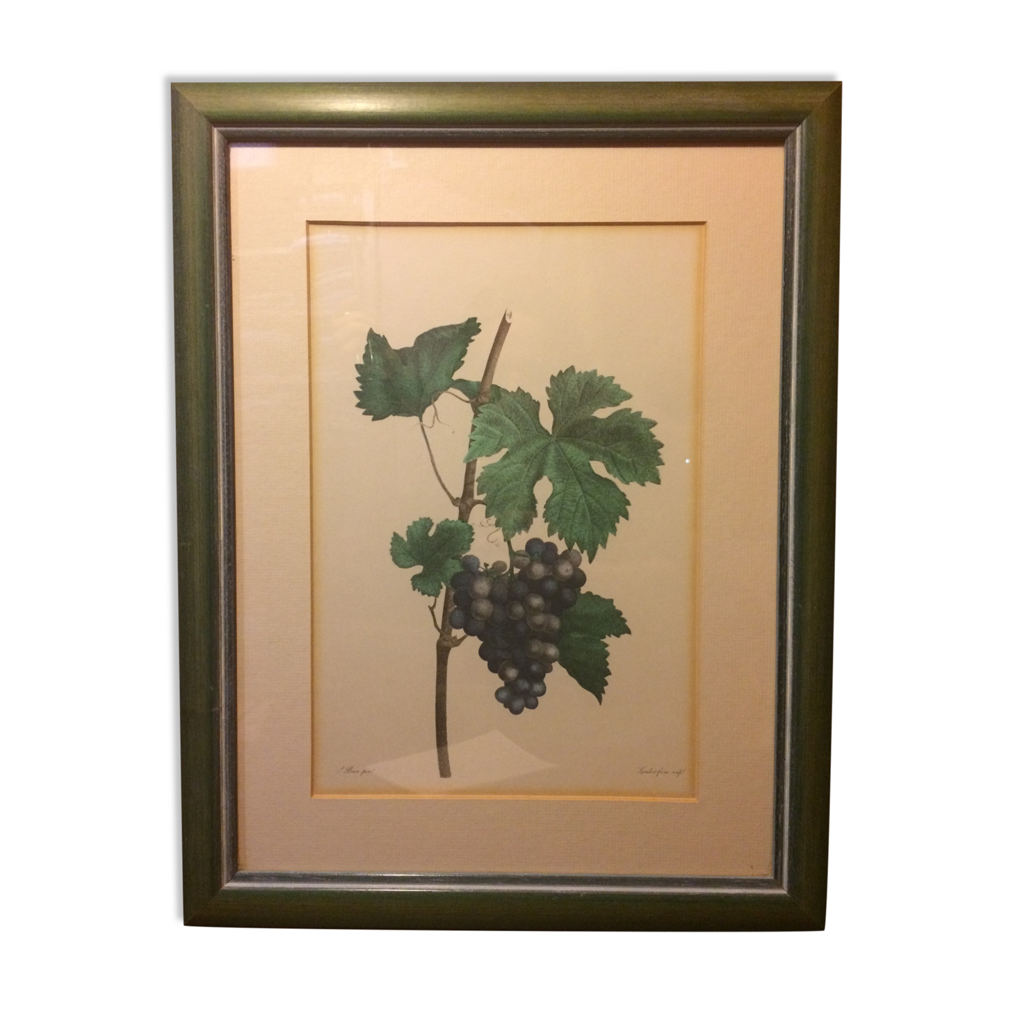 Former vignes botanical plank vintage green wood frame