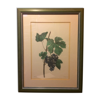 Former vignes botanical plank vintage green wood frame