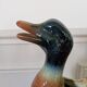 Duck pitcher