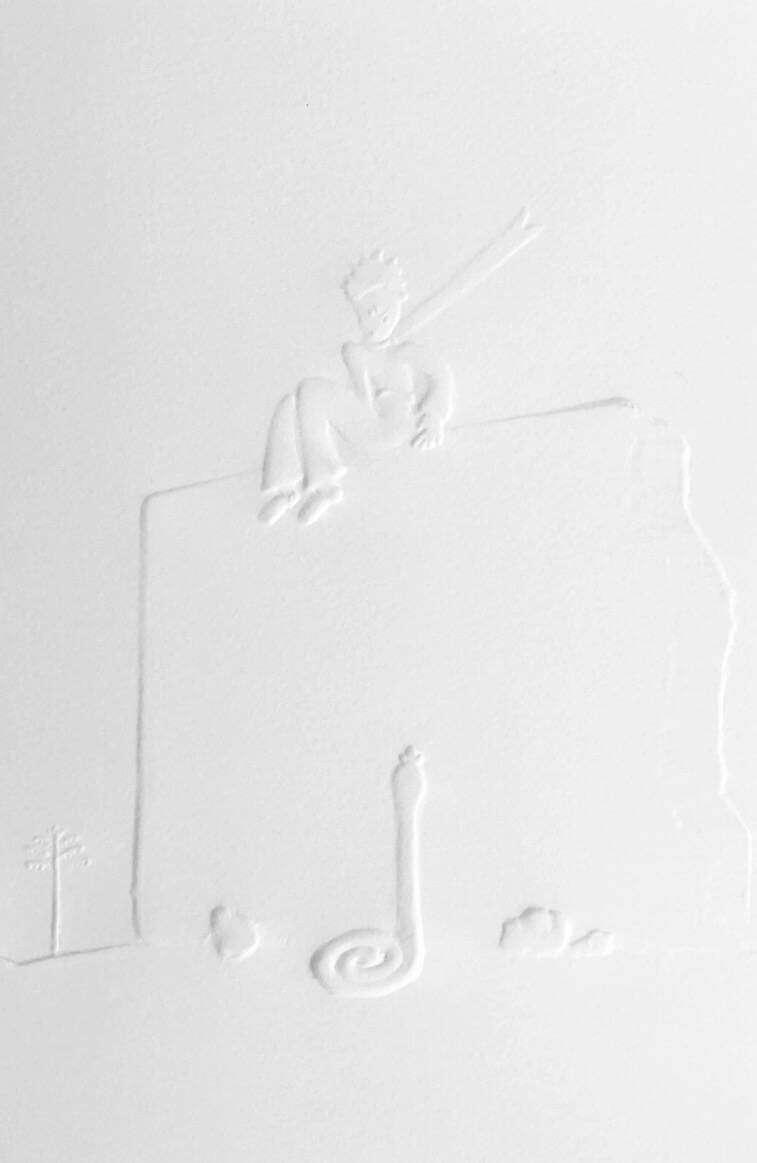 The little prince (snake)