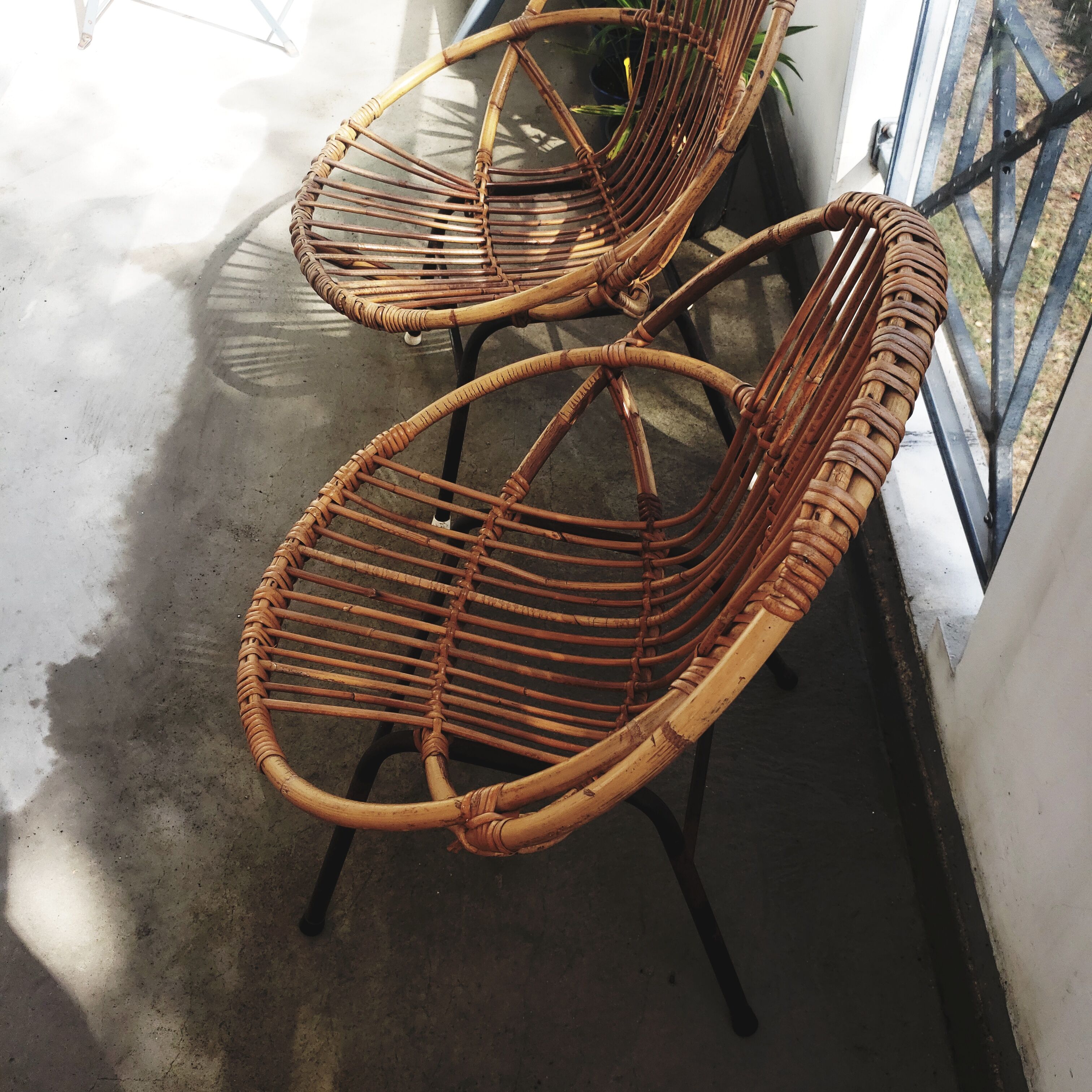 2 rattan shell armchairs, metal legs year 50