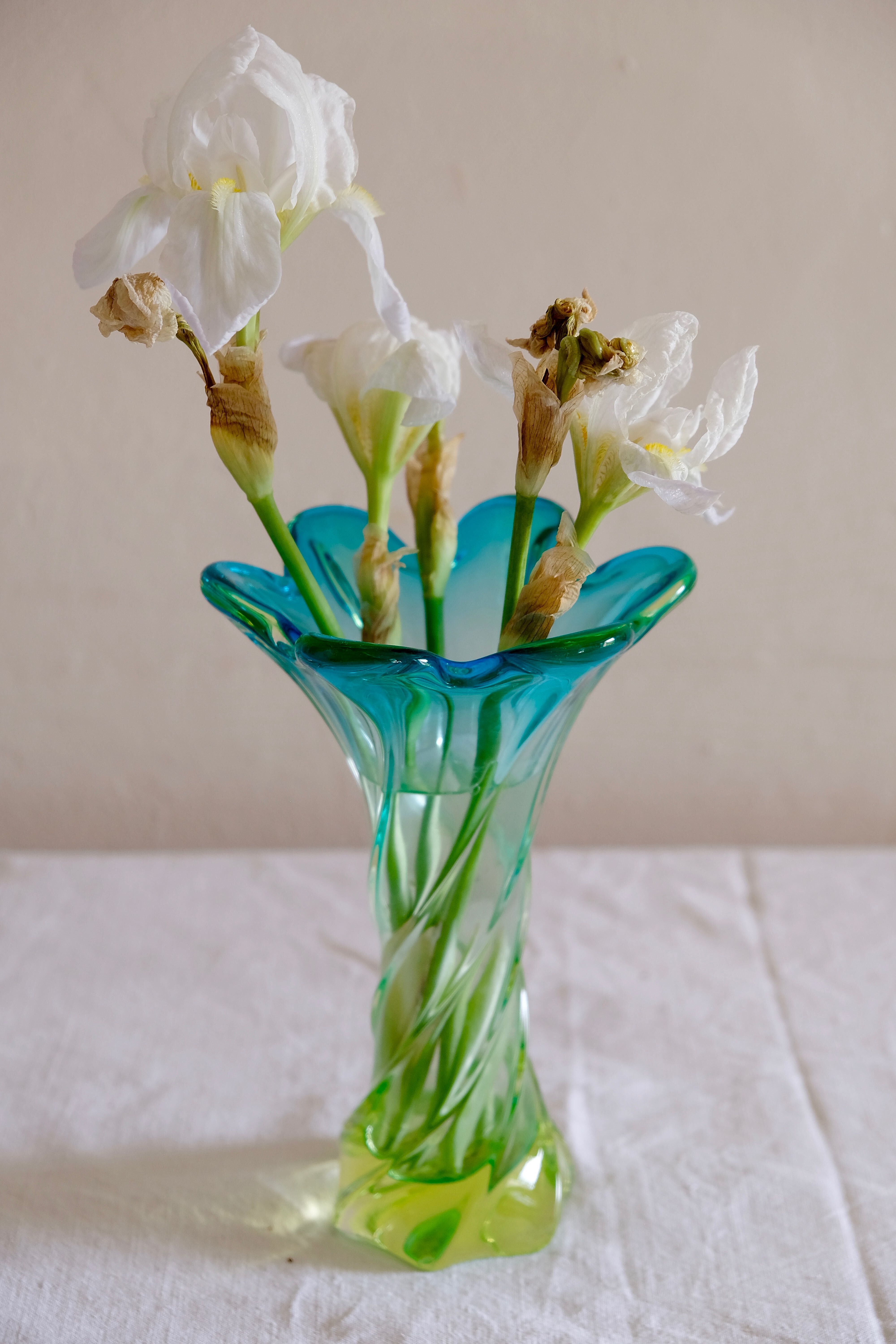 Murano corolla vase