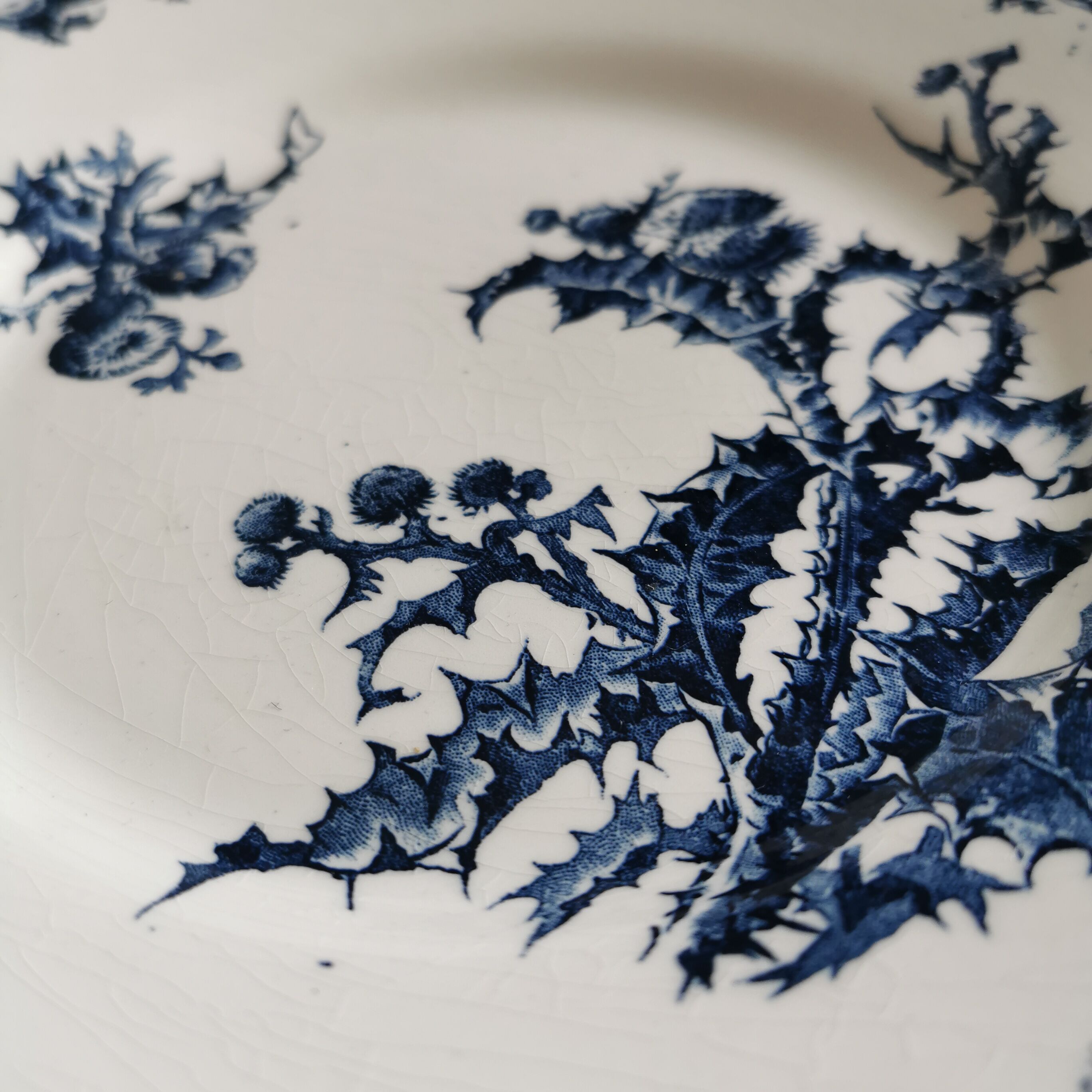 Flat plates stamped opaque Gien porcelain, “Chardons” model