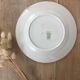 Lot 6 mismatched iron earth dessert plates