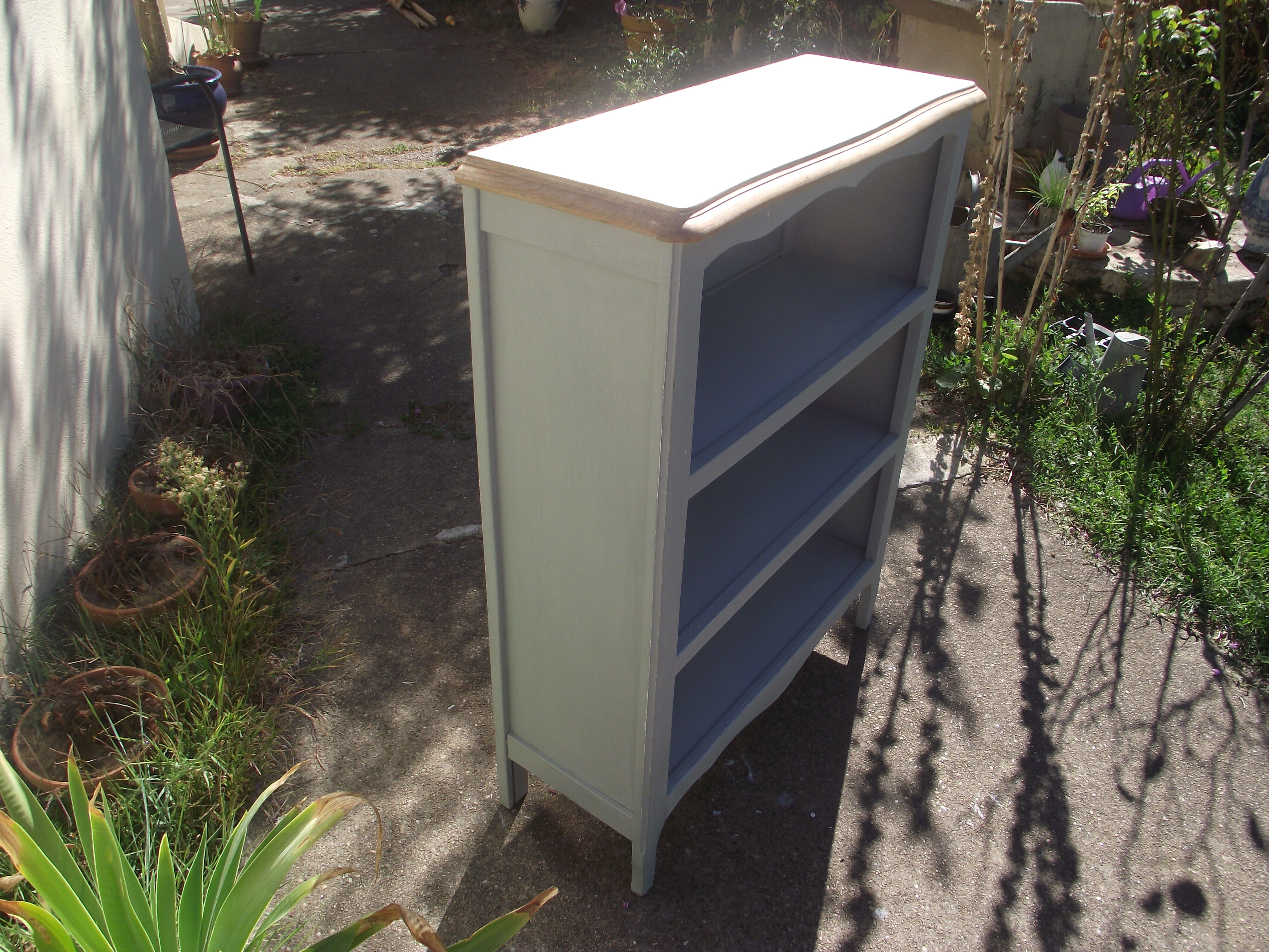 Louis XV style bookcase