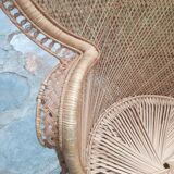 Emmanuelle armchair in rattan years 50