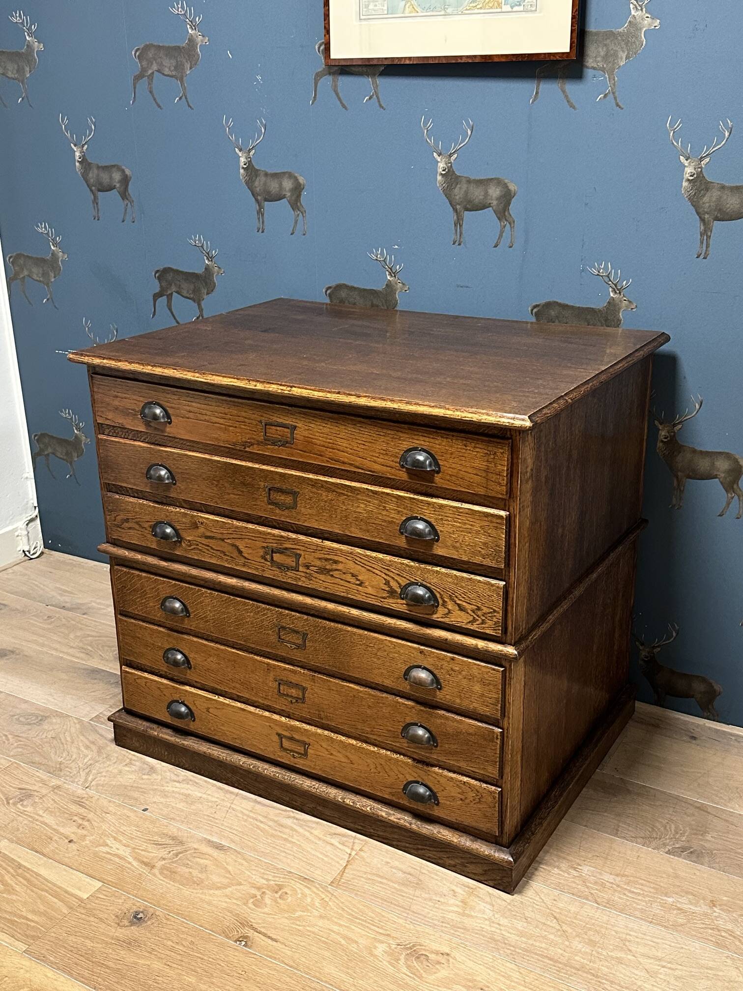 Antique oak drawing cabinet / map cabinet / architect's cabinet