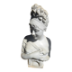 Marble bust by Houdon