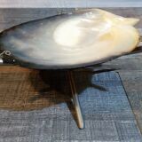 Empty mother-of-pearl pocket nineteenth century