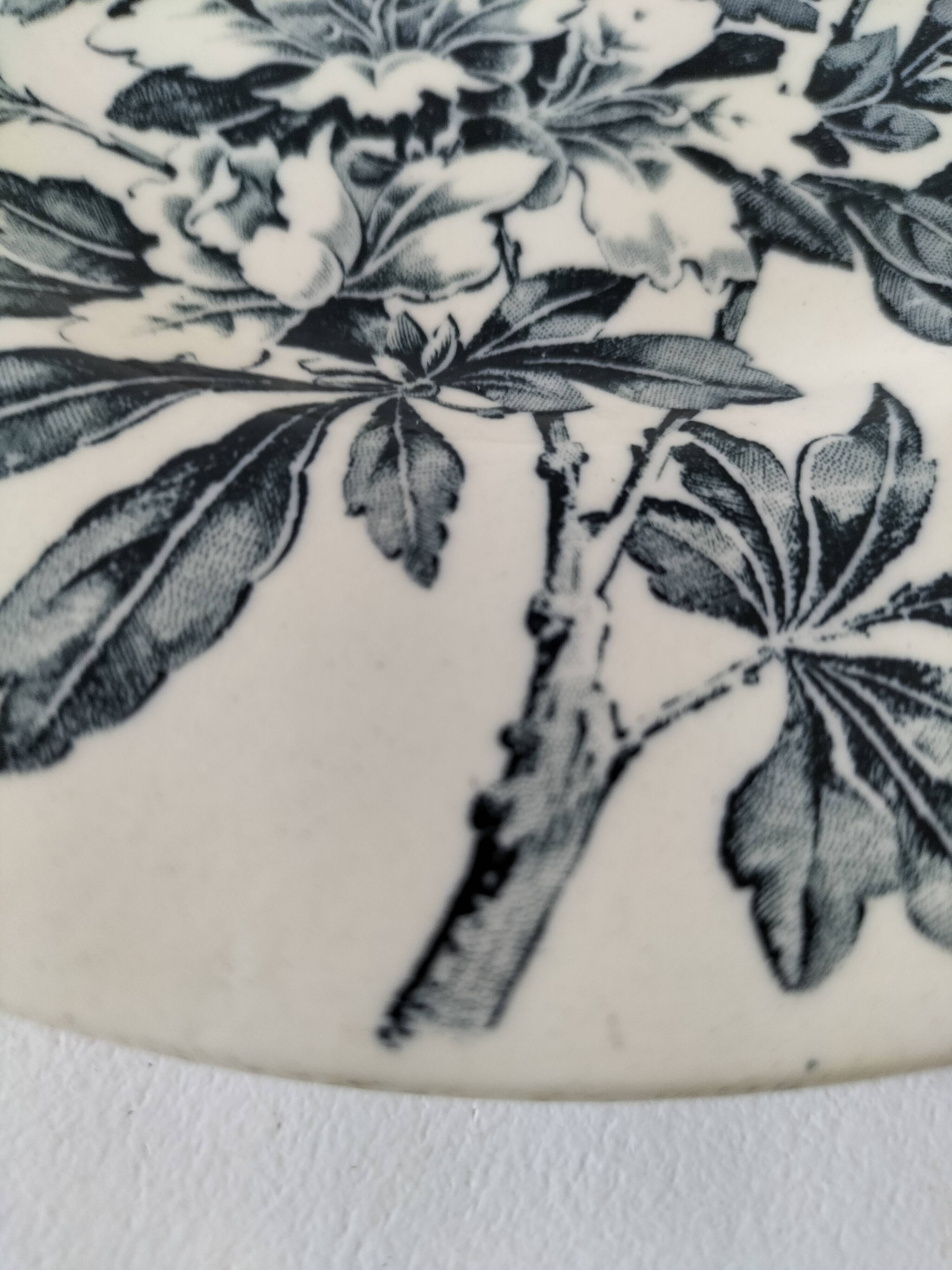 Antique plate, “Azaléa” model – KG Lunéville (circa 1930)