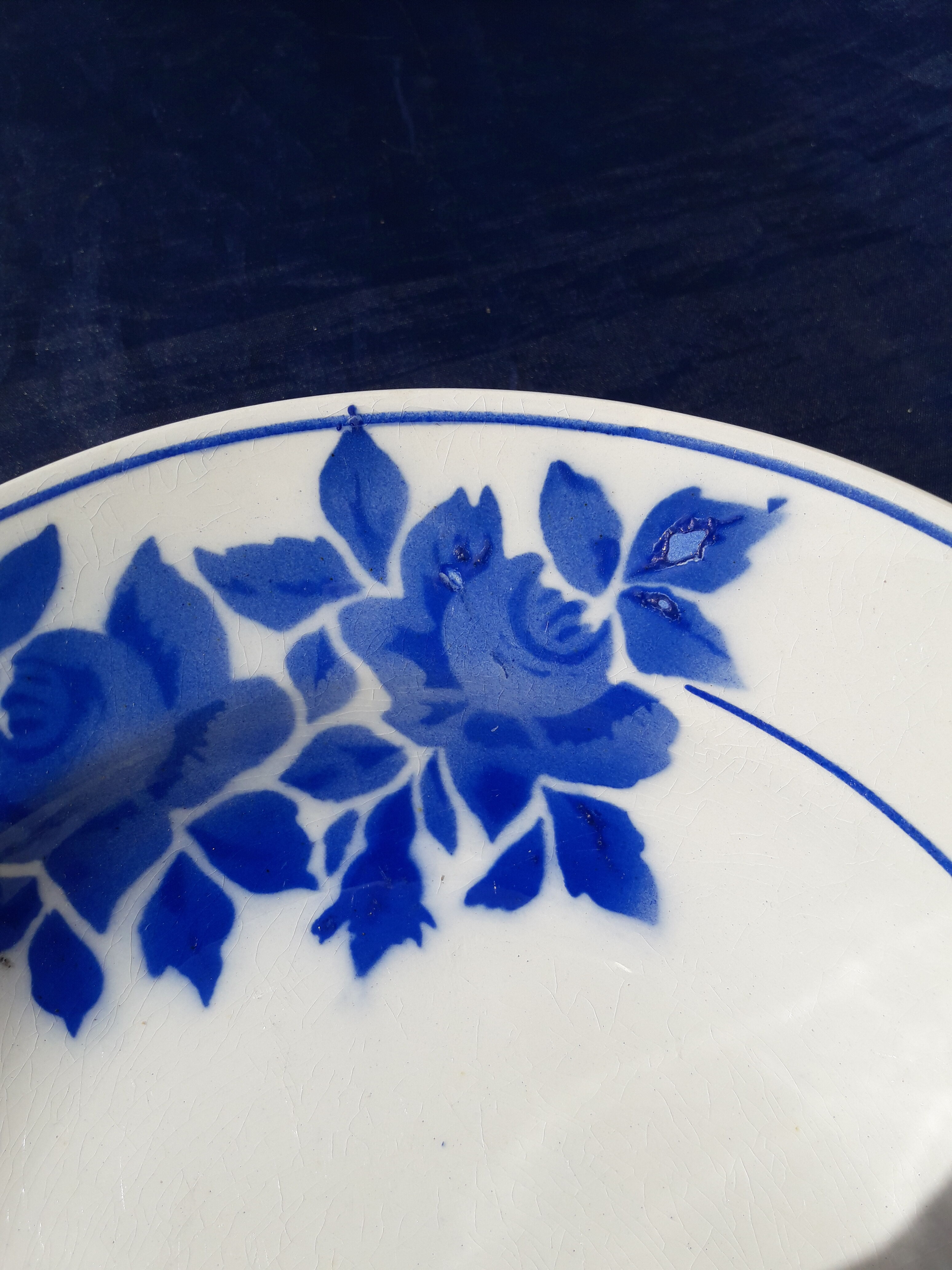 2 hollow plates in Pexonne earthenware 53 blue flower pattern diam 22.5 cm