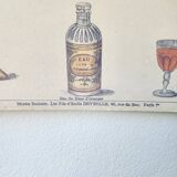 Affiche ancienne Deyrolle : l'orange