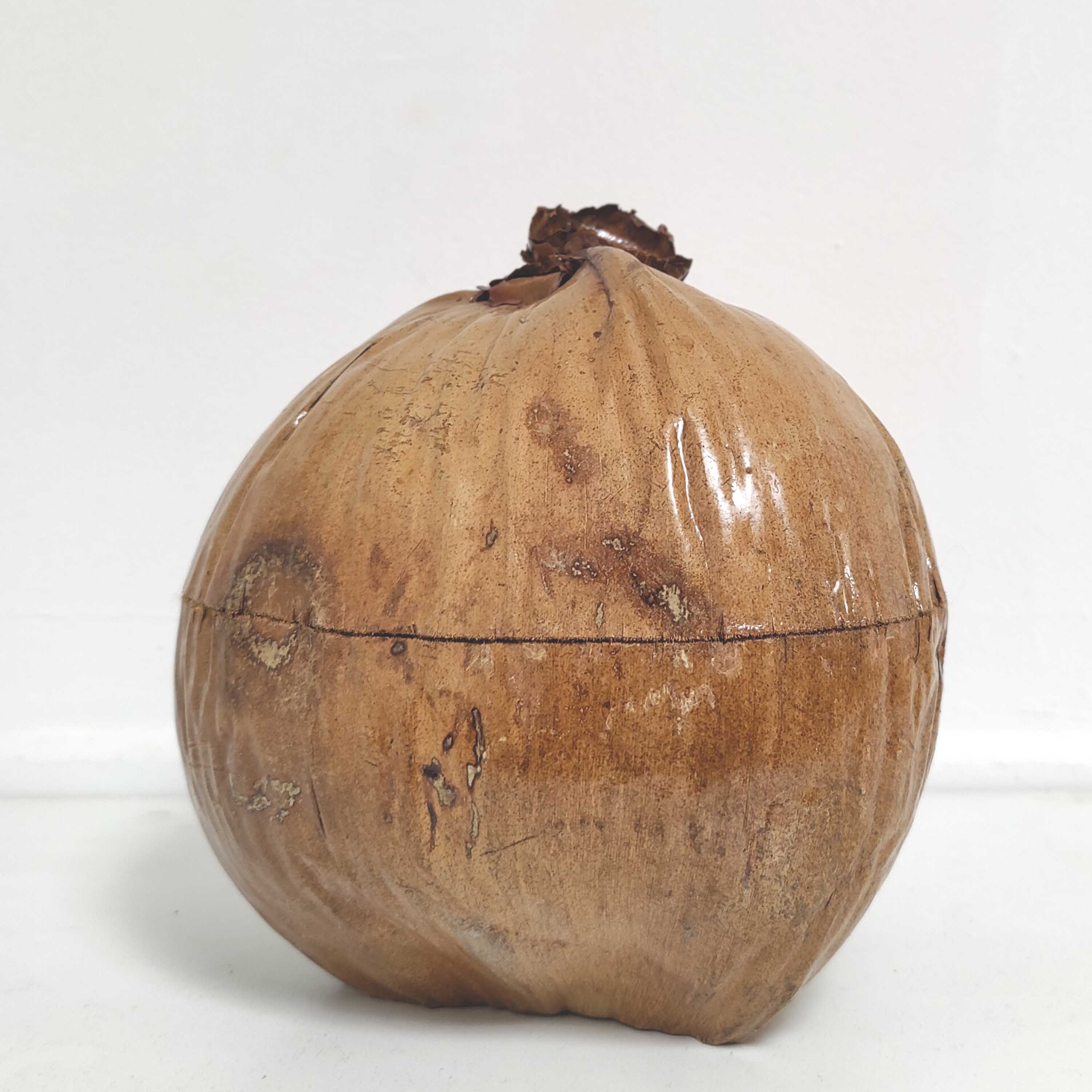 Vintage coconut ice bucket