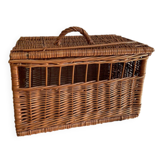 Wicker trunk