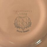 Salins 38 Piece Pink Dinnerware Set