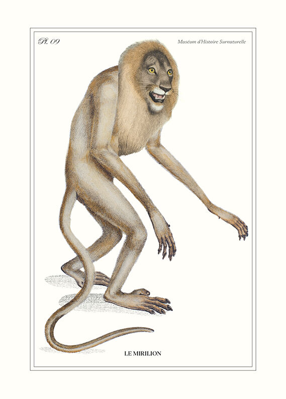 Lithograph engraving animal chimera - the mirilion