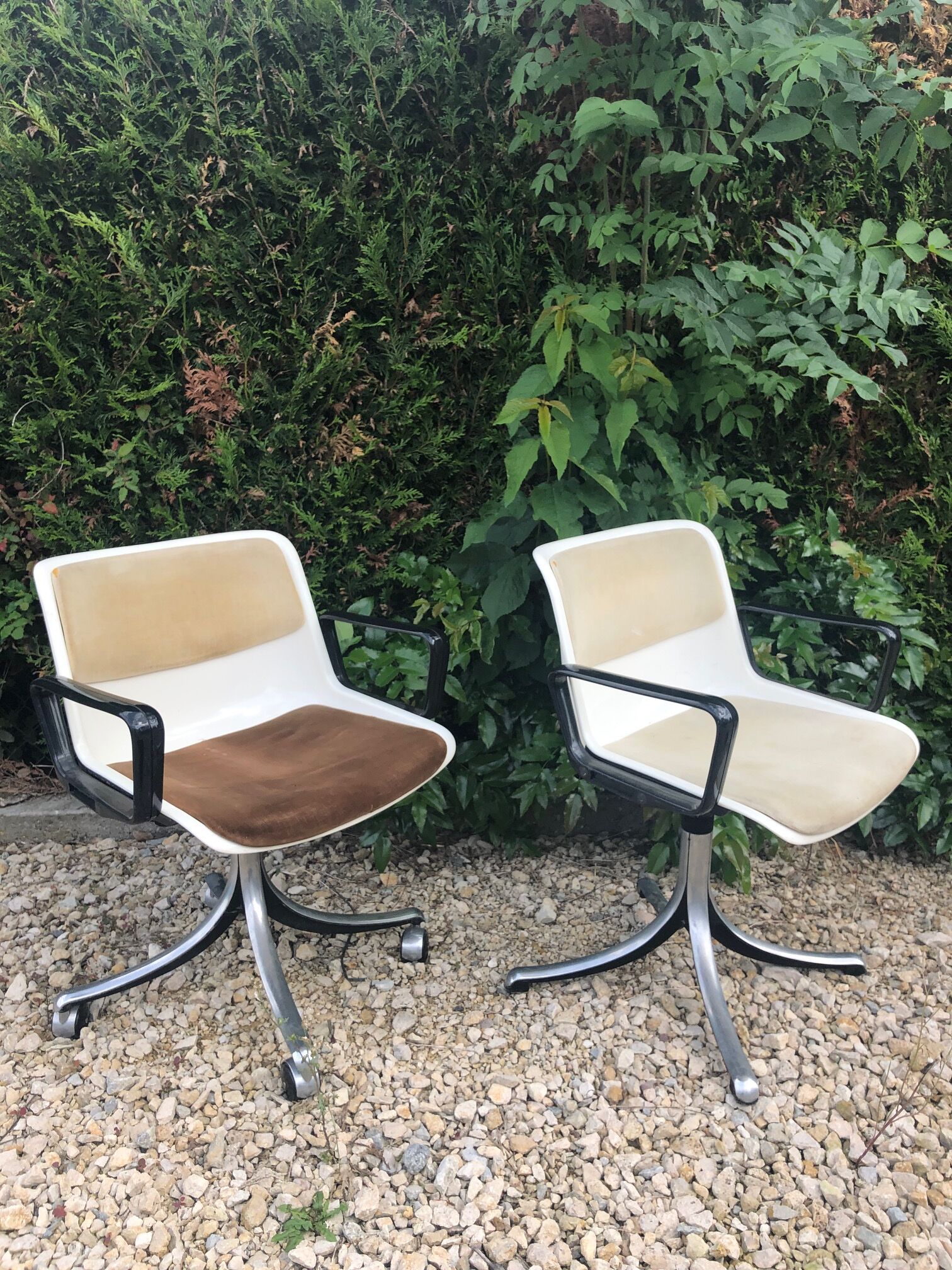 Pair of office chairs Modus Osvaldo Borsani edited by Tecno