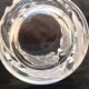 Lalique collection small vase crystal pattern art nouveau chene leaves