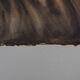 Salvador Dali: Normandy, SNCF (Butterfly Suite small model), original signed lithograph