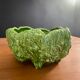 Fruit cup / Ceramic salad bowl collard greens