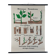 Vintage educational wall hanging roll chart biology plants
