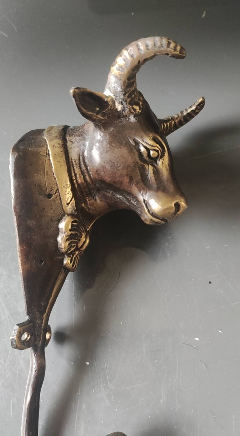 Bronze patinated metal bull wall hook