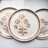 Assiettes plates grès ancien