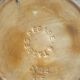 Verseuse à café Pegase 8 tasses vintage années 50-60