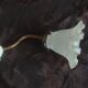 Swan neck and tulip glass wall light, porcelain lamp