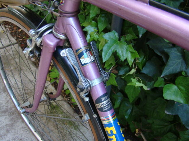 Vintage Eddy Merckx Bike Race