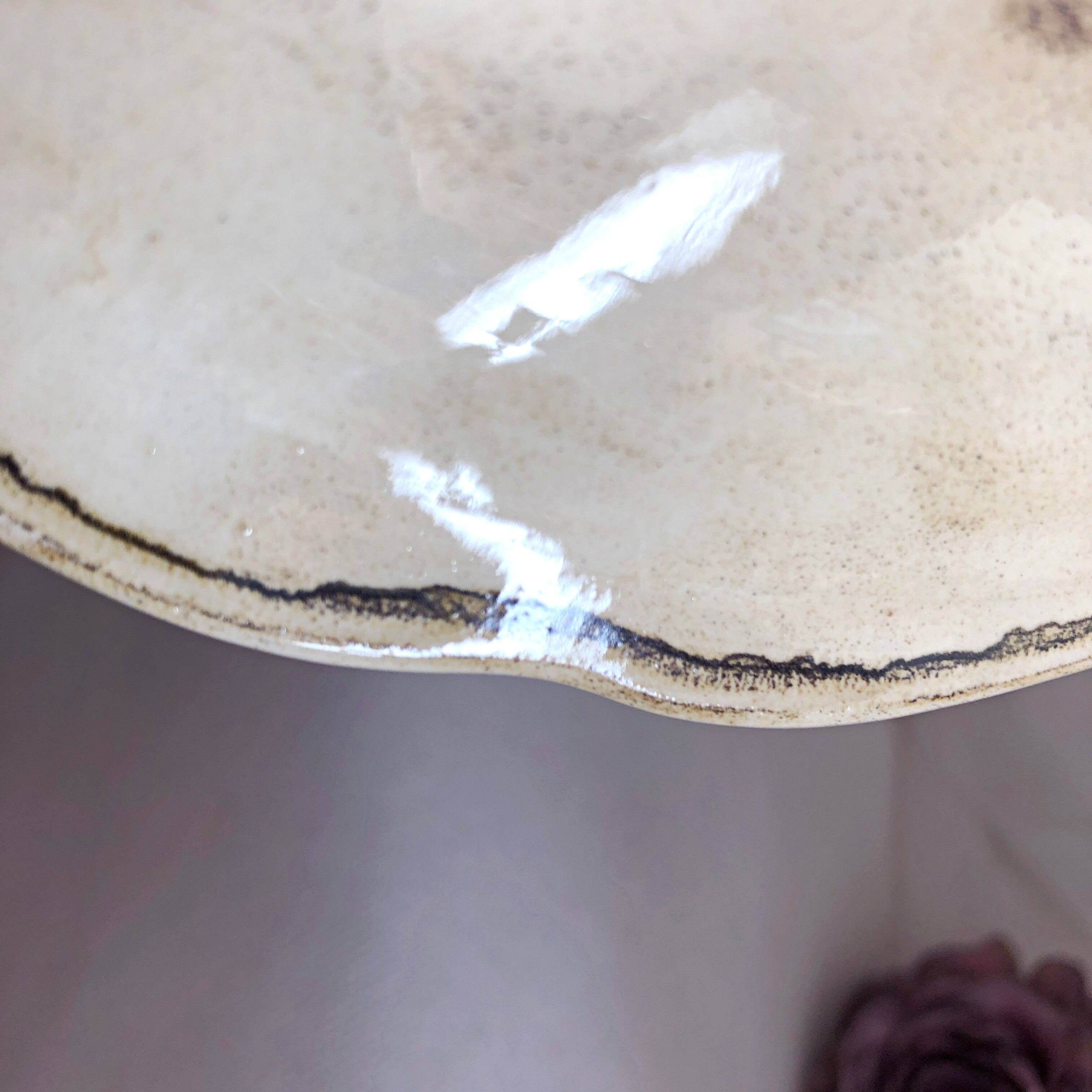 Decorative earthenware plate from Salins France decor Quevilly 25.5 cm