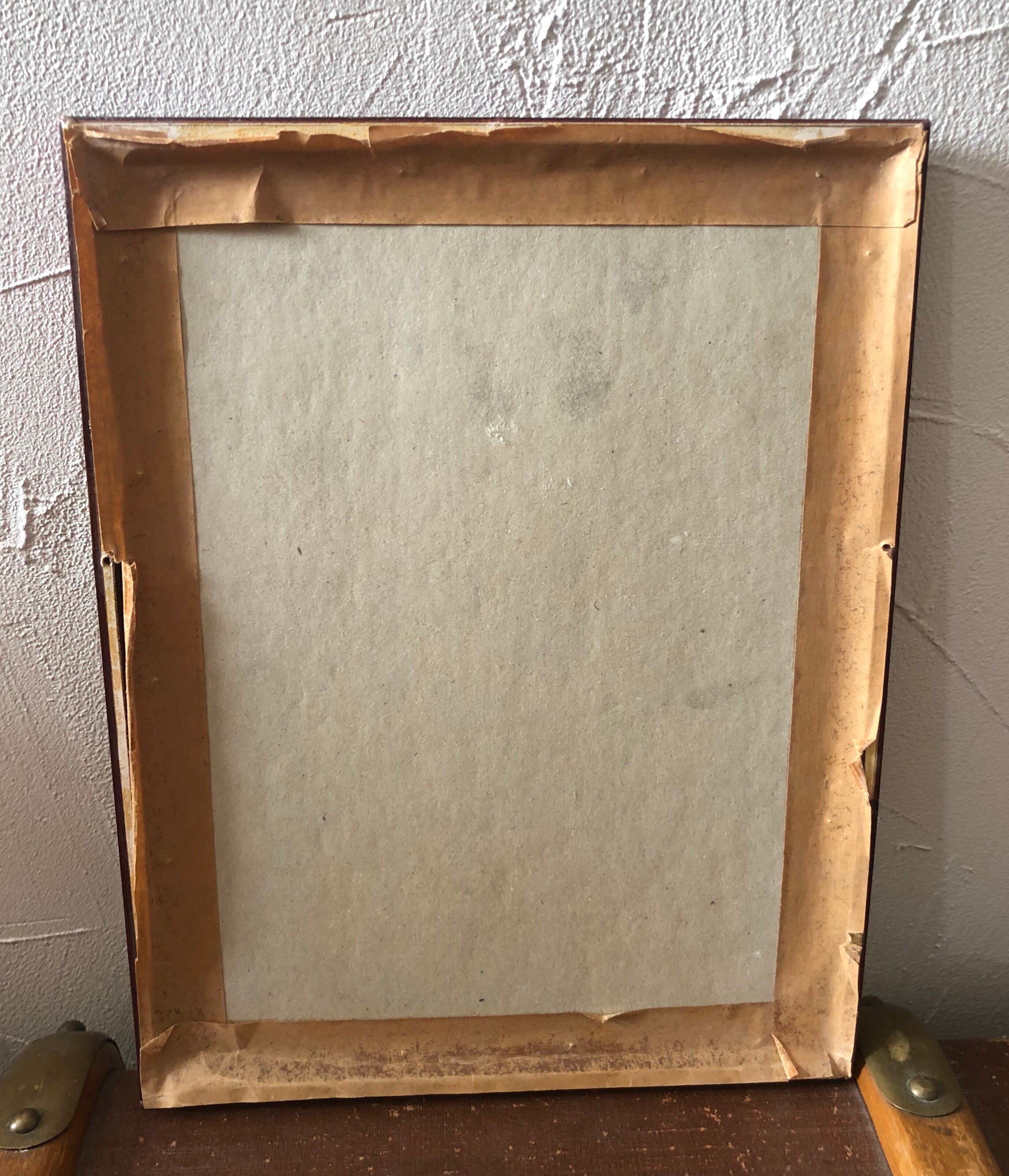 Botanical Board Laurier Camphrier framed lithograph PJ Dreadté