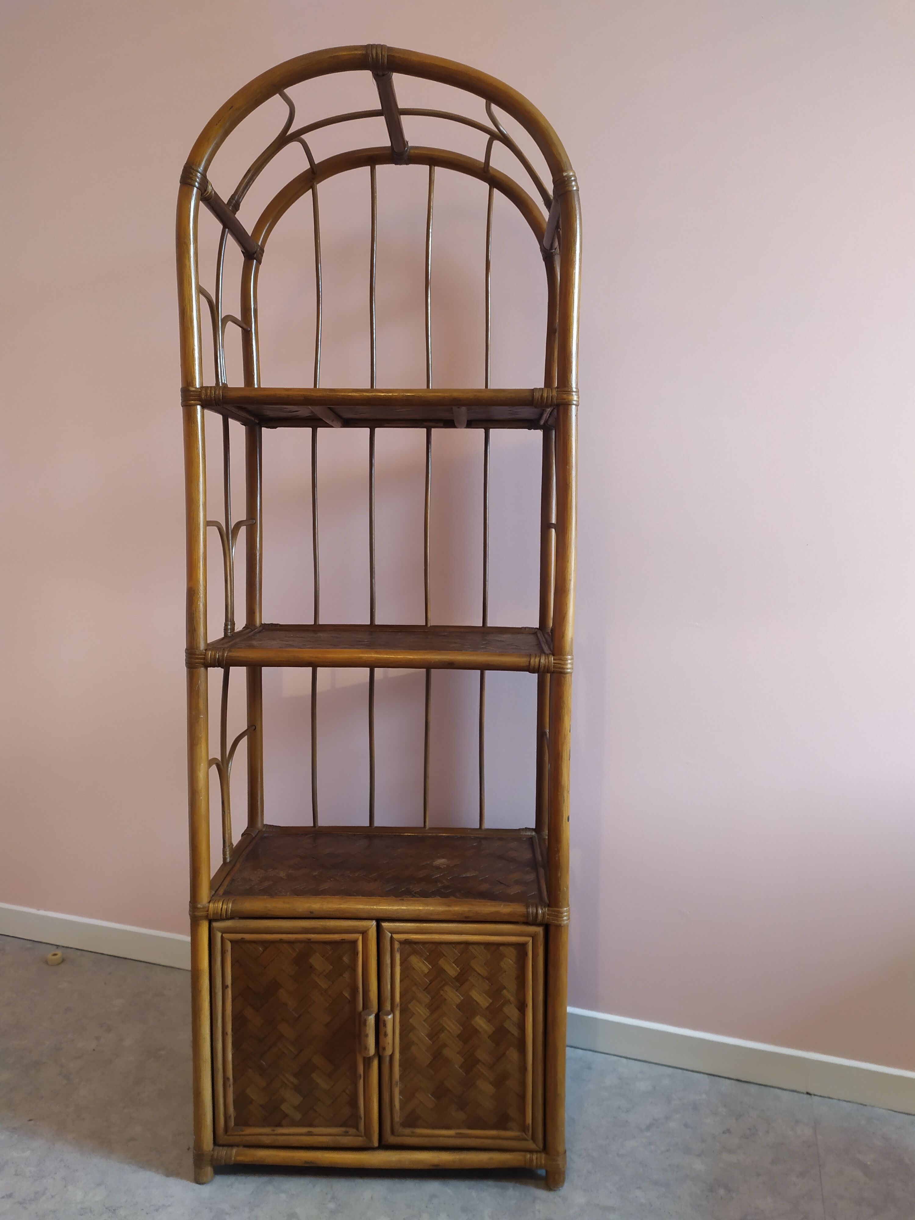 Rattan and bamboo library