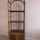 Rattan and bamboo library