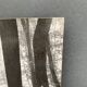 Photo argentique Bernard Darot Coulée de soleil dans les feuillus XXe