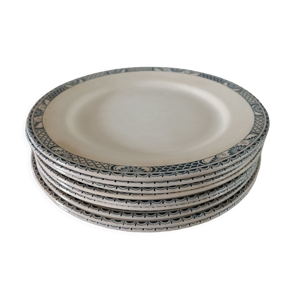 9 assiettes terre de fer Salins