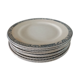 9 plates iron earth Salins