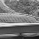 Old car photography - 1900 - 40 x 60 cm