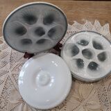 Shell plates Moulin des Loups