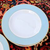 Lot of 11 hollow plates L'Amandinoise