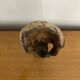 Old Candle Holder Michel MOLAC Driftwood Sculpture Vintage #C051