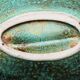 Enamelled stoneware plate