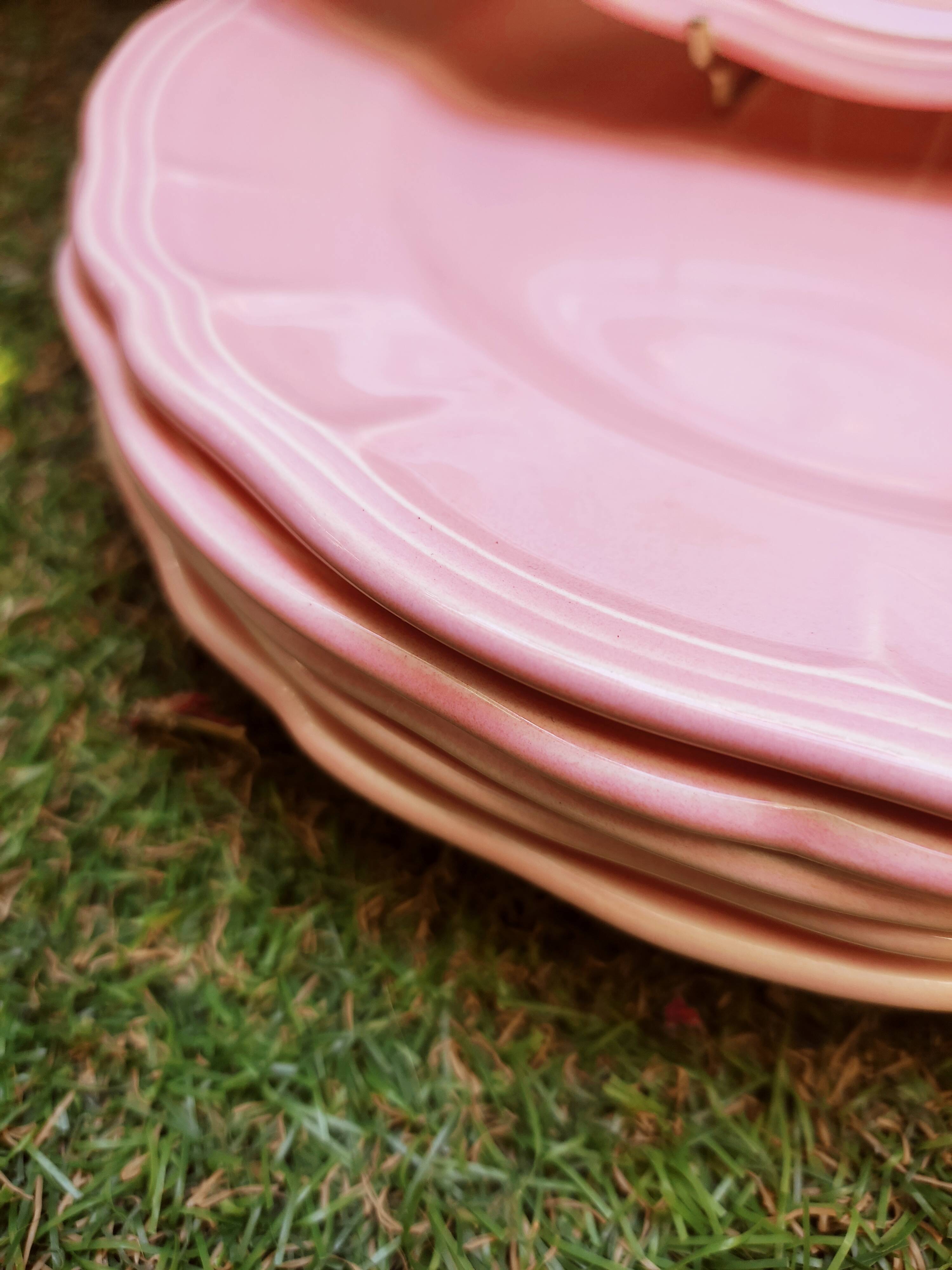 6 Salins plates in Provençal style earthenware