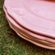 6 Salins plates in Provençal style earthenware