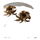 Bougeoir